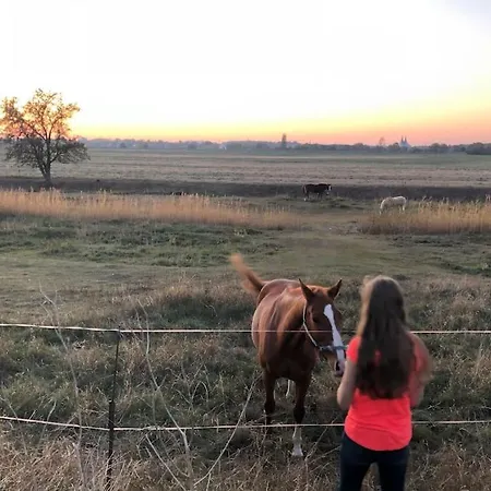 Grosszuegige Gutshaus-wohnung Nahe Saale Und Elbe