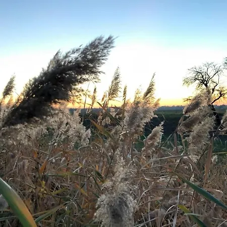 Appartement Grosszuegige Gutshaus-wohnung Nahe Saale Und Elbe