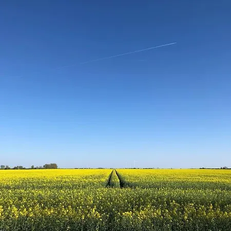 Grosszuegige Gutshaus-wohnung Nahe Saale Und Elbe *