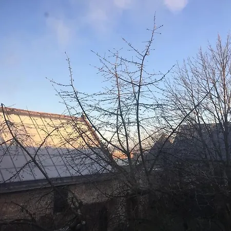 Grosszuegige Gutshaus-wohnung Nahe Saale Und Elbe