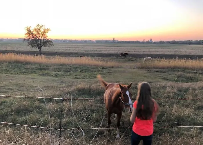 Grosszuegige Gutshaus-wohnung Nahe Saale Und Elbe