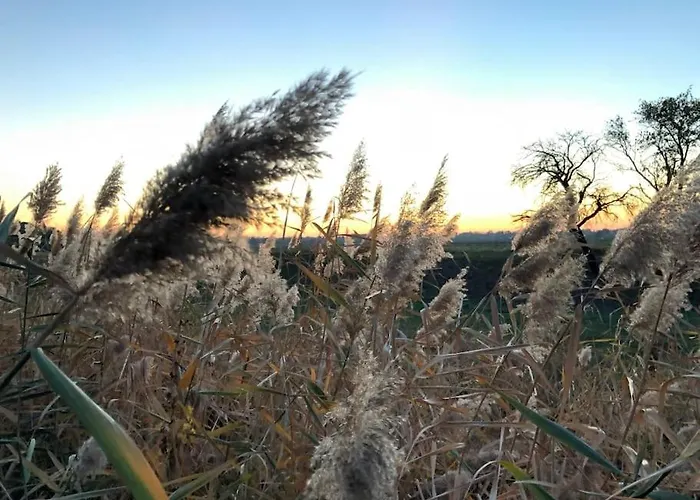 Lägenhet Grosszuegige Gutshaus-wohnung Nahe Saale Und Elbe