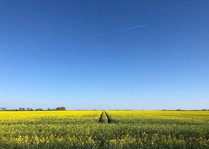 Grosszuegige Gutshaus-wohnung Nahe Saale Und Elbe *