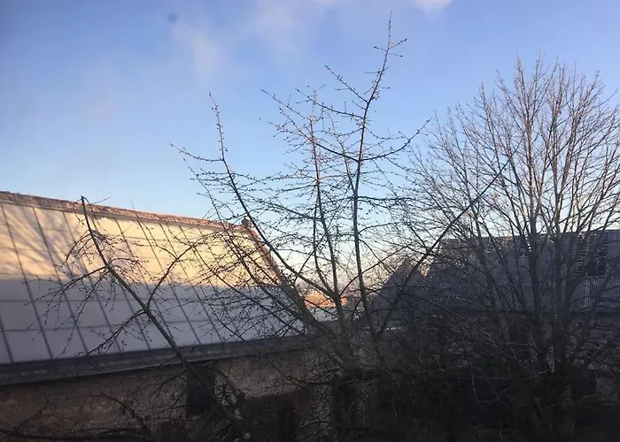 Grosszuegige Gutshaus-wohnung Nahe Saale Und Elbe